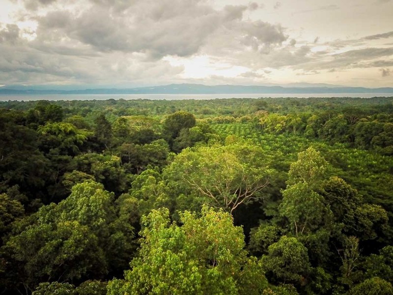 0 bed Lot/Land For Sale in Osa Peninsula, 